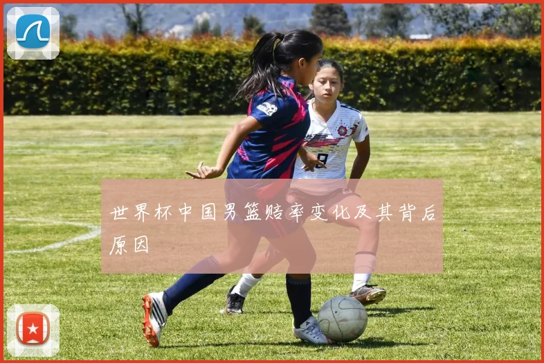 世界杯中国男篮赔率变化及其背后原因